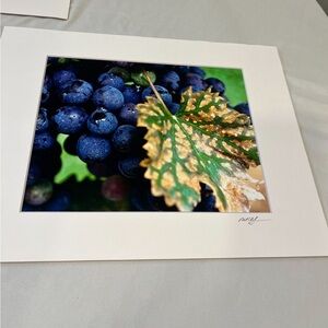 3 Framed Photos Blue Green Purple Photography Art14x11 matte framed and signed